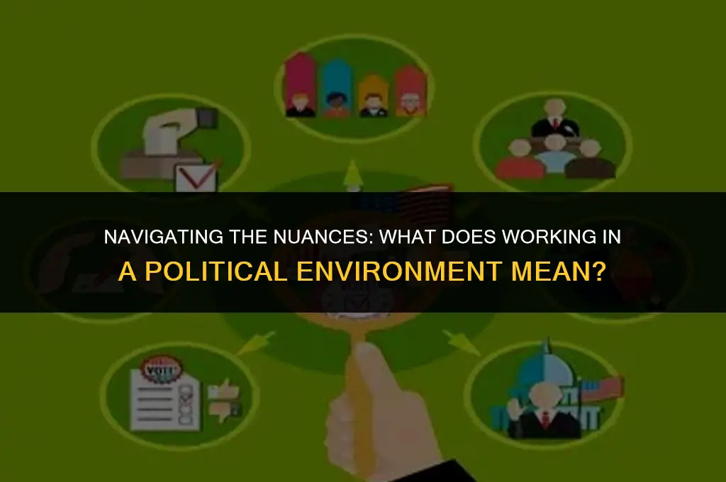 what does working in a political environment mean
