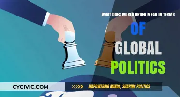 Understanding World Order: A Guide to Global Political Dynamics