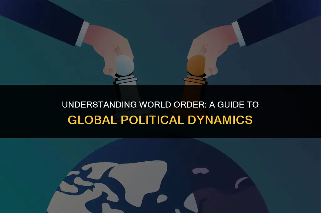 what does world order mean in terms of global politics