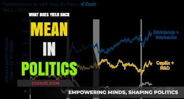 Decoding Political Jargon: Understanding 'Yield Back' in Policy Debates