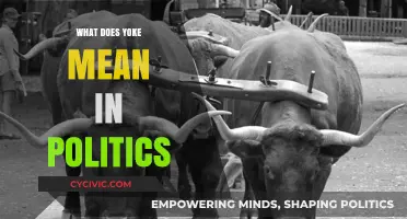 Understanding the Political Yoke: A Comprehensive Guide