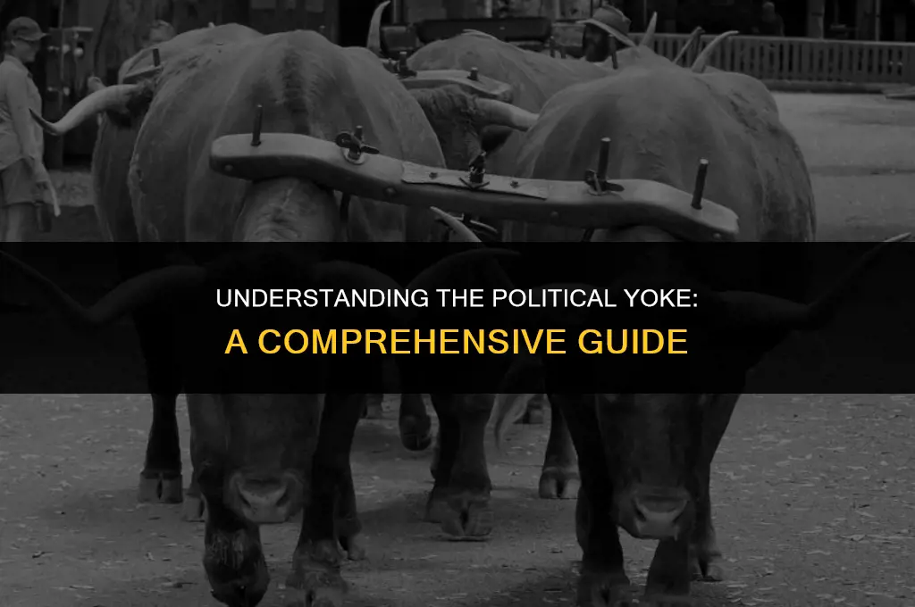 what does yoke mean in politics