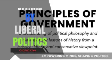 Understanding Liberal Politics: A Comprehensive Guide to Its Core Principles