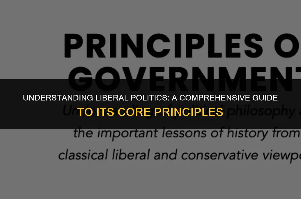 what does you mean by liberal politics