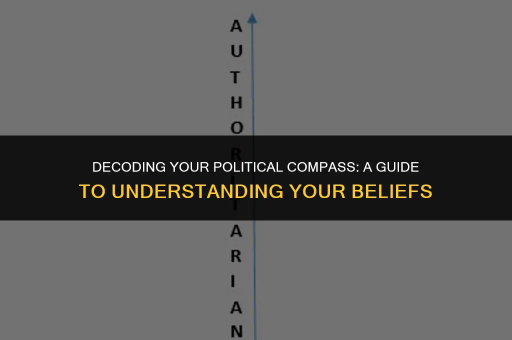 what does your political compass mean