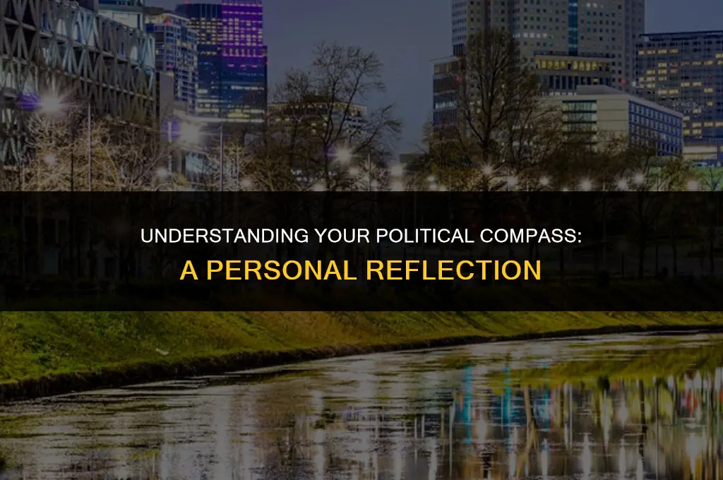 what does your political orientation mean to you
