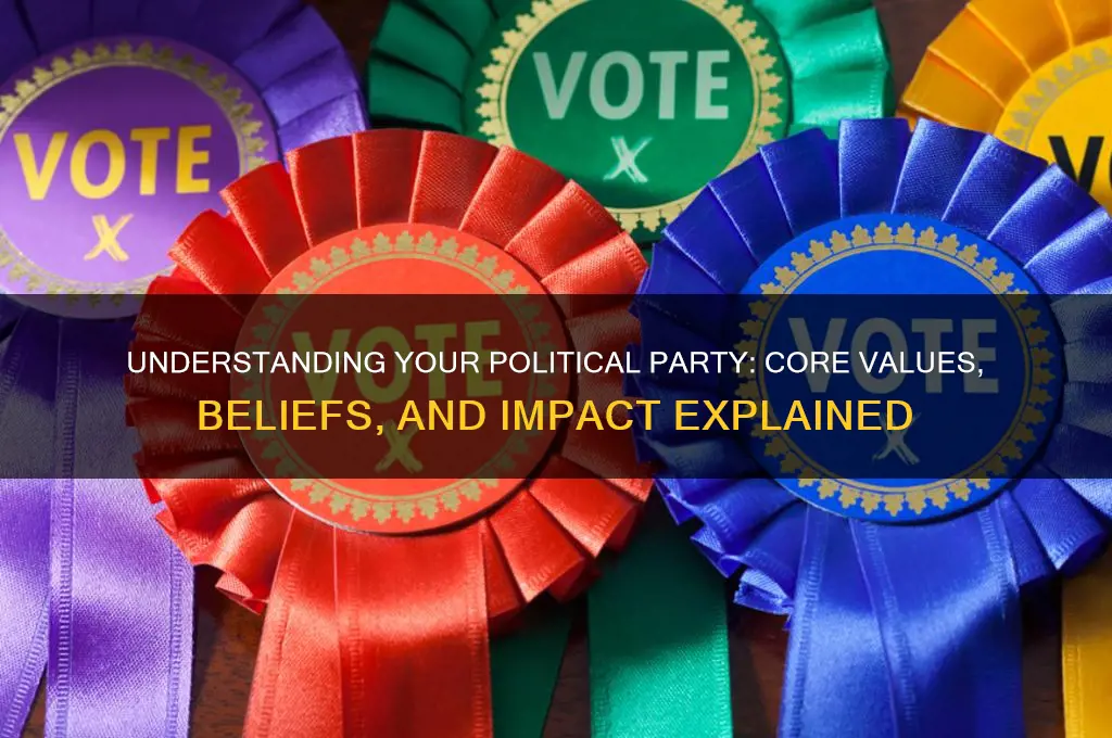 what does your political party mean