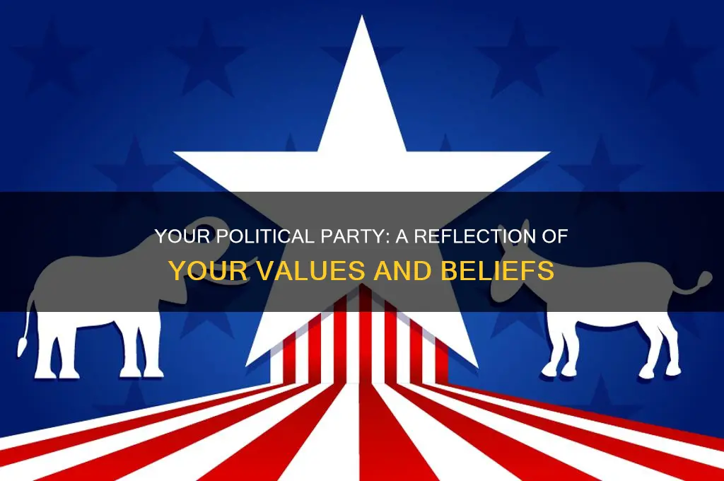 what does your political party say about you