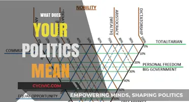 Decoding Your Political Compass: A Journey Through Ideology and Values