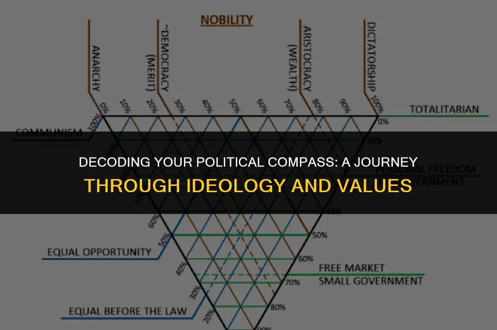 what does your politics mean
