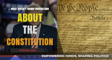 Trump's Constitutional Conundrum: Understanding the Basics