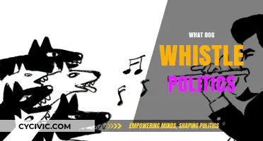 Decoding Dog Whistle Politics: Hidden Messages and Their Impact on Society