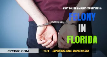 Florida Felony Threshold: Understanding the Dollar Limit