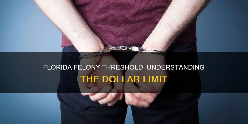 what dollar amount constitutes a felony in florida