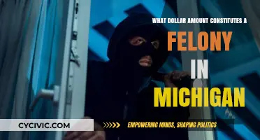 Understanding Felony Thresholds in Michigan: Dollar Amounts and Consequences