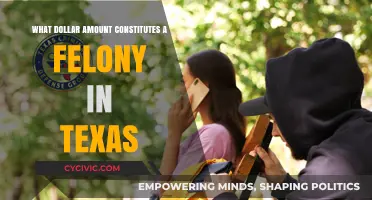 Understanding Texas Felony Thresholds and Penalties