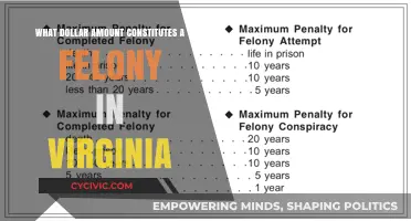 Theft and Felony in Virginia: Understanding the Dollar Limit