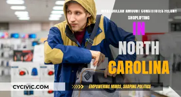 Felony Shoplifting Threshold in North Carolina
