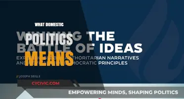 Exploring the Essence of Domestic Politics: A Comprehensive Guide