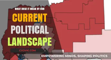 Navigating the Nuances of Our Current Political Landscape