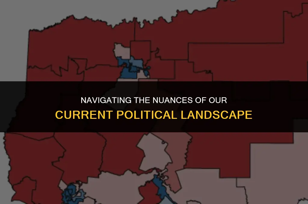 what dose it mean by our current political landscape