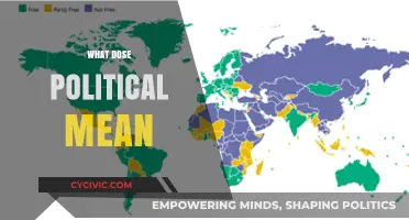 Decoding Politics: Understanding the Essence of Political Systems