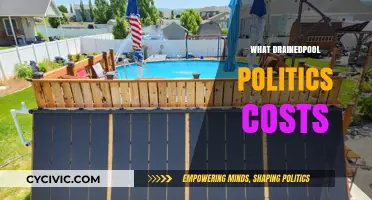 The Hidden Economic and Social Toll of Drainedpool Politics