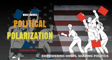 Unraveling the Roots: What Fuels Political Polarization in Society