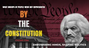 The Constitution: Who Was Left Out?