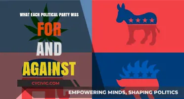 Political Parties Unveiled: Core Beliefs, Stances, and Dividing Lines Explained