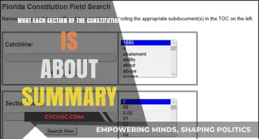 The Constitution: A Summary of Each Section