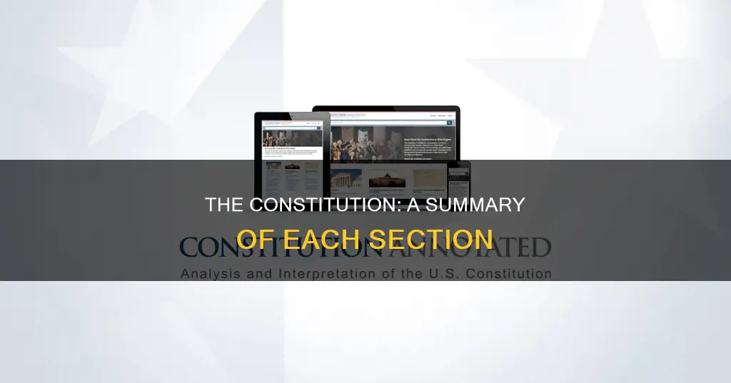 what each section of the constitution is about summary