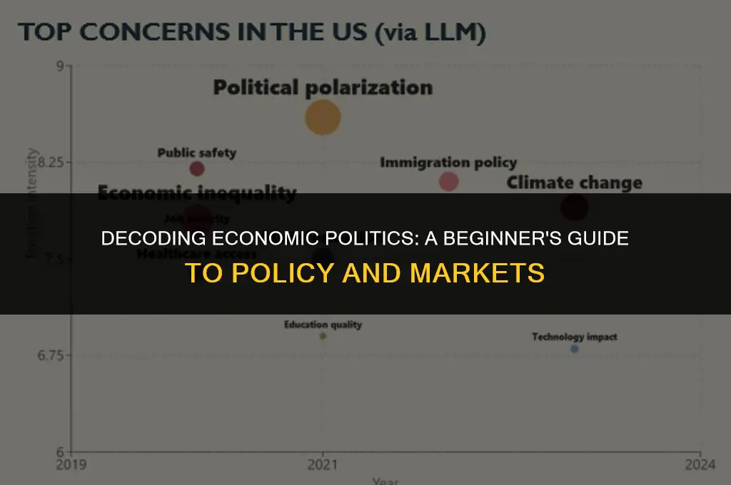 what economic politics means