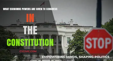 Congress' Economic Powers: Constitutional Insights