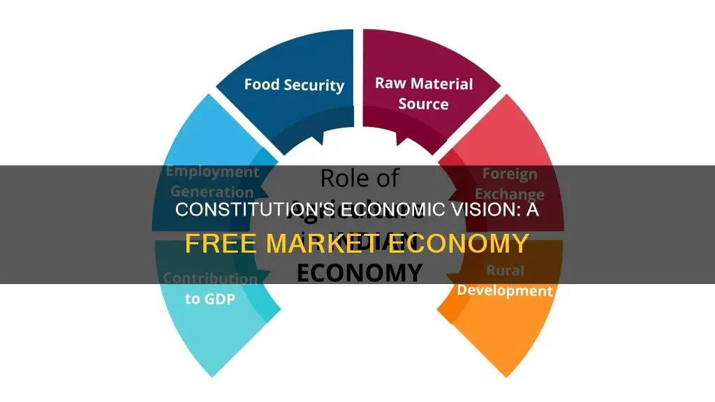 what economic structure was suggested in our constitution