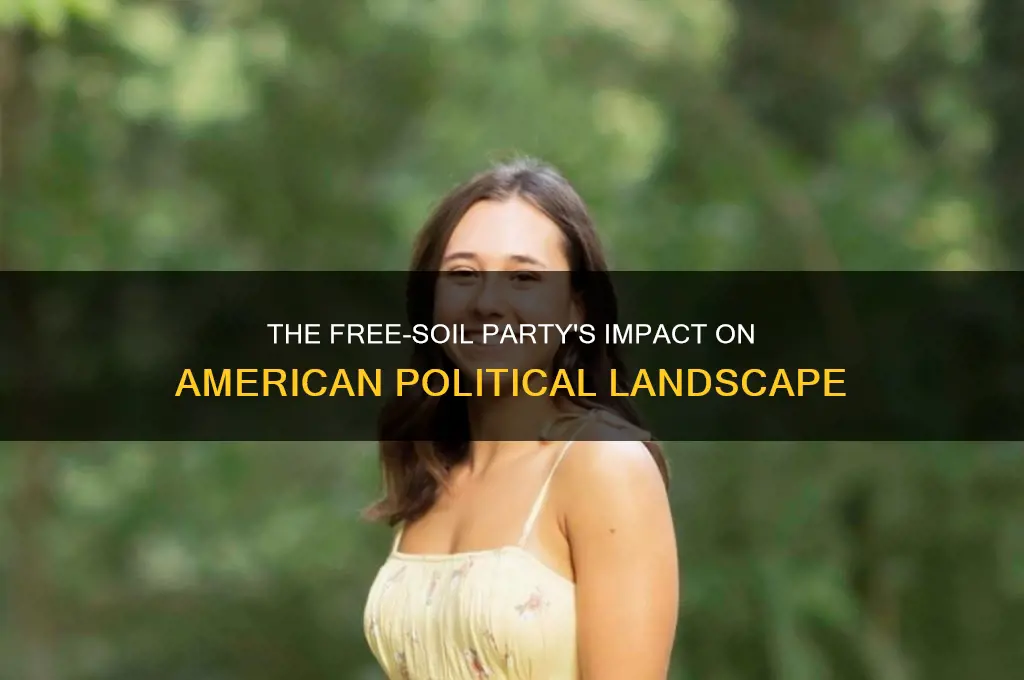 what effect did the free-soil party have on american politics