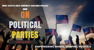 Candidate-Centered Politics: Transforming Party Dynamics and Electoral Strategies