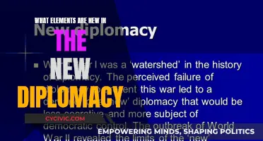 The Evolution of Diplomacy: New Elements in Practice