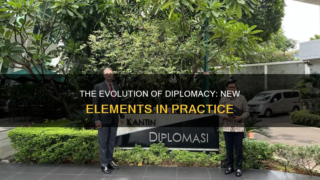 what elements are new in the new diplomacy