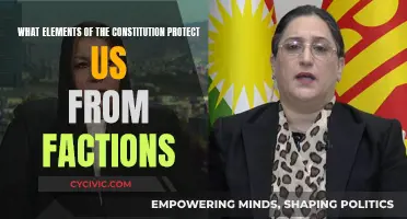 Factions and the Constitution: Our Safeguards and Protections