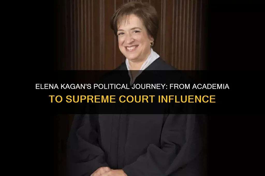 what elena kagan political background