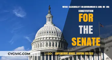 Senate Eligibility Requirements: Constitutional Standards