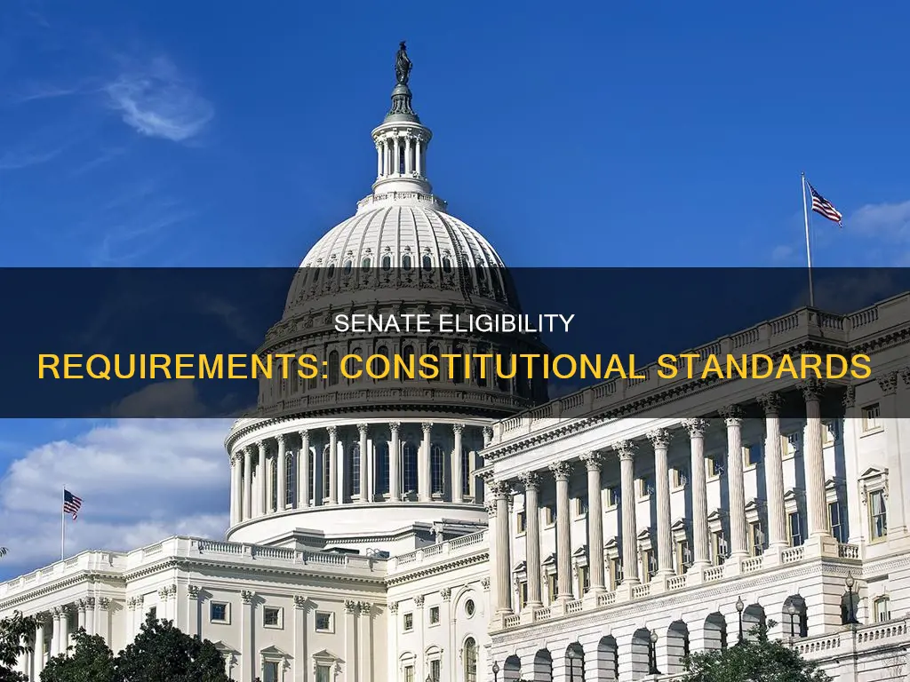 what eligibility requirements are in the constitution for the senate
