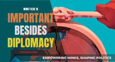 Diplomacy's Other Half: Exploring Essential Skills for Success