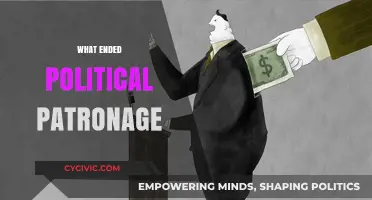 The Decline of Political Patronage: Causes and Consequences Explored
