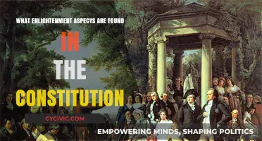 Enlightenment Ideas in the Constitution