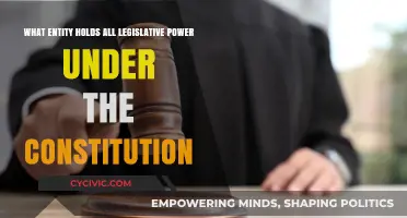 Who Holds Legislative Power in the US?