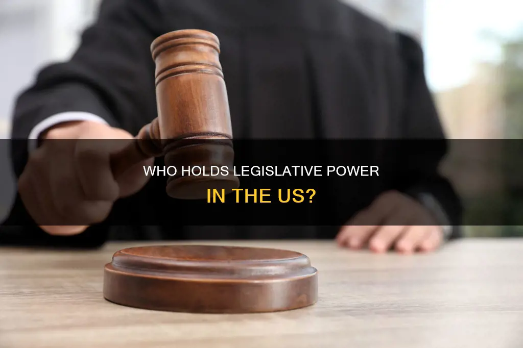 what entity holds all legislative power under the constitution