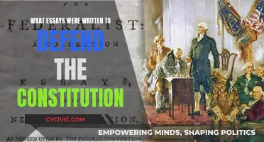 Essays Defending the Constitution: A Historical Perspective