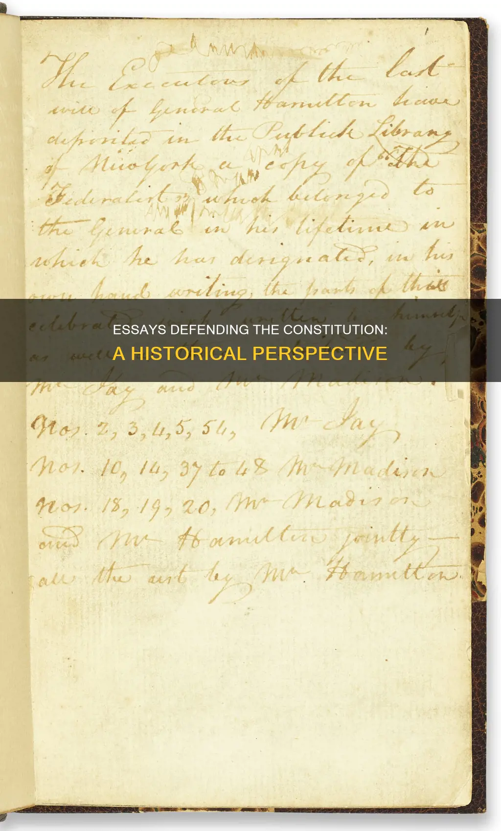 what essays were written to defend the constitution